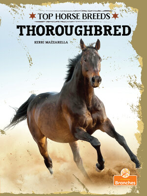 cover image of Thoroughbred